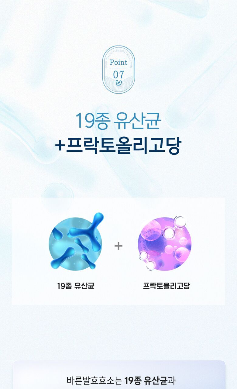 바른 발효효소 상세기술서17